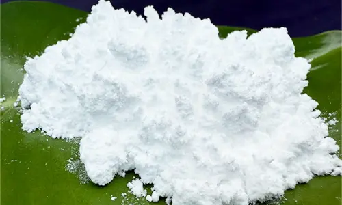 Droga androgeno garrantzitsua